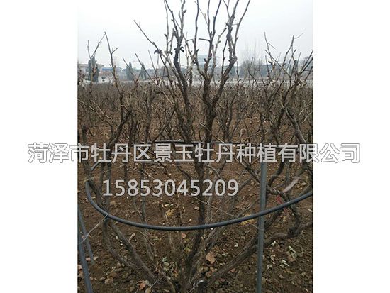 647100171976421596 副本.jpg